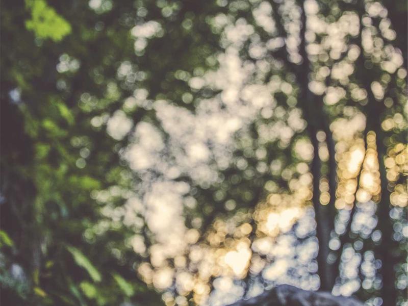 寺庙入职<br>aamotnk.cn 扫地僧招聘启事